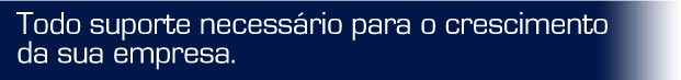 Todo suporte necessário para o crescimento da sua empresa. Texto 2 - 1